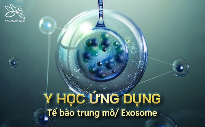 Dịch Vụ Y Tế Cao Cấp