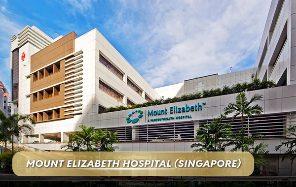 Mount Elizabeth Hospital 