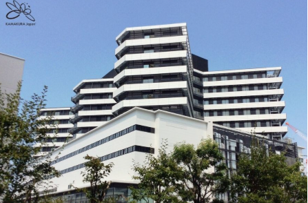 Osaka International Cancer Institute (OICI) 