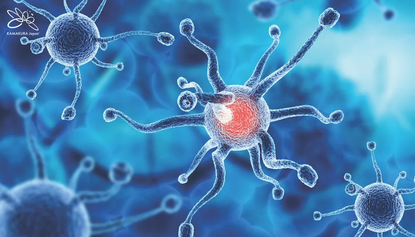 Proton & Ion nặng – Bước tiến đột phá trong xạ trị, mở ra hy vọng cho ung thư khó chữa