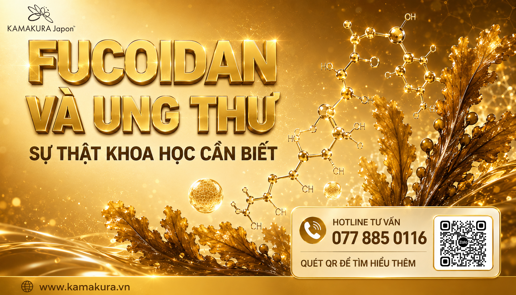 Fucoidan và ung thư: Bằng chứng hiện nay và cách sử dụng phù hợp như sản phẩm bổ sung