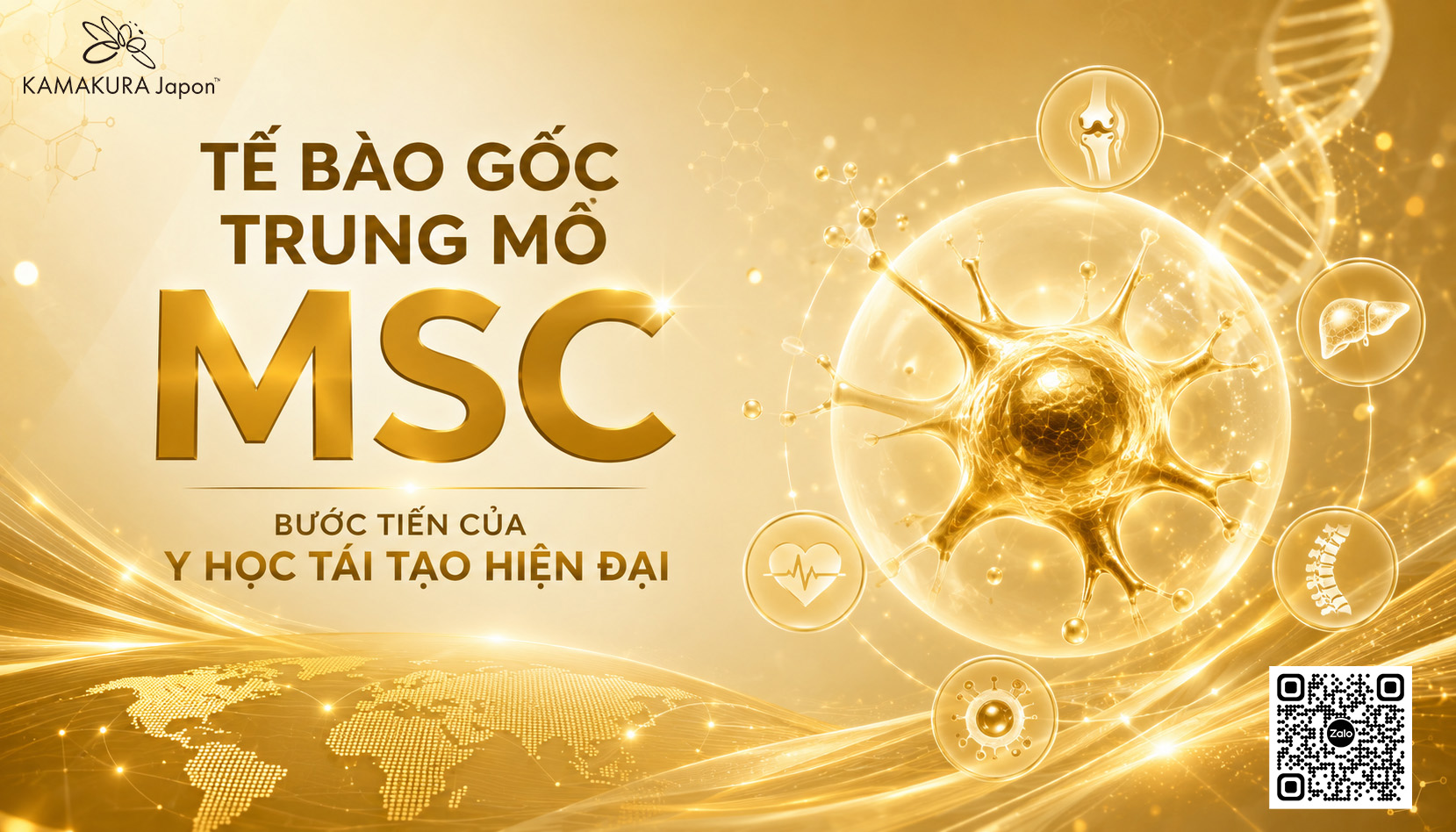 Tế bào gốc trung mô MSC là gì? Cơ chế hoạt động, ứng dụng và những điều cần biết trước khi điều trị tại Nhật Bản